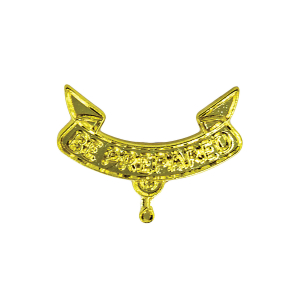 Scouts BSA Second Class Rank Parent Pin