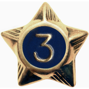 Service Star - 3 Years