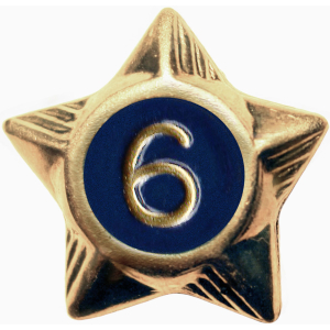 Service Star - 6 Years