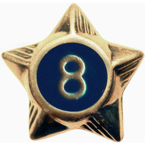 Service Star - 8 Years
