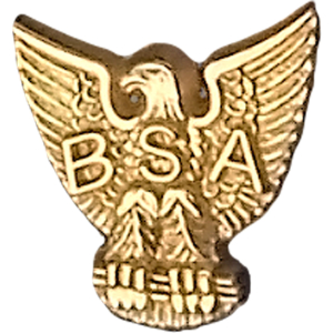 Distinguished Eagle Scout Device, 10K